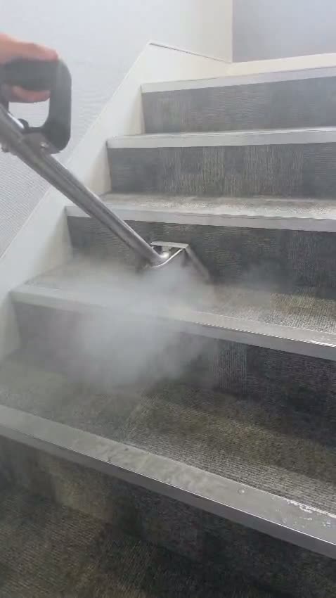Carpet cleaning in Aberystwyth