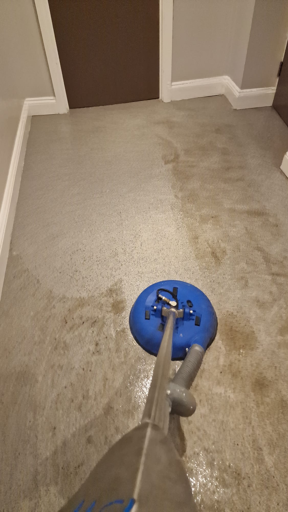 Hard floor cleaning in Aberystwyth